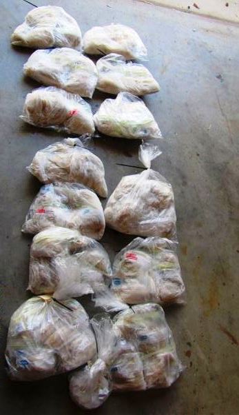 The Gorge features a timeless rugged beauty. This is special country for all native sportfishermen.